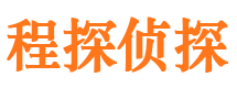 新龙市侦探公司